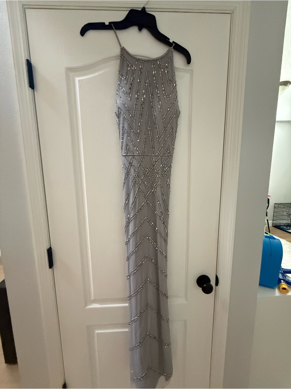 Adrianna Pappell Evening Gown